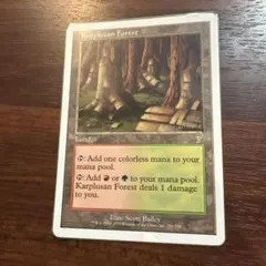 MTG カープルーザンの森 4枚セット DMU 日本語版 - メルカリ