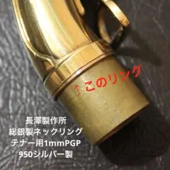 総銀製ツイステッドペアネックリングPGP:アルト用2mm - メルカリ
