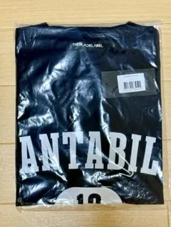 Item thumbnail for item d7fe6132-a8c6-4d15-a895-6a19d2ebc595