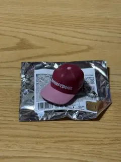 Item thumbnail for item 9c7f0003-017f-4196-a4fc-af4c3b663382