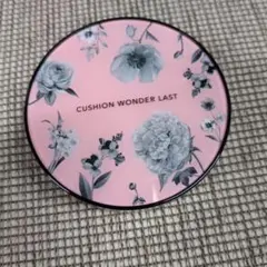 CUSHION WONDER LAST 02 ライト 13gのサムネイル