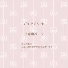 ガイアくん 様 ご専用ページ