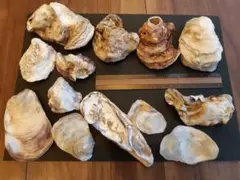 Item thumbnail for item 274e6378-5f77-4bec-8ed0-879c8b78b440