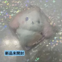 SUPER JUNIOR ZOONIOR ぬいぐるみキーホルダー イトゥク - メルカリ