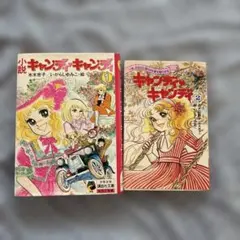 小説キャンディ・キャンディ 1巻 ＆2巻　 いがらしゆみこ 水木杏子　レア　希少