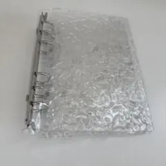 Item thumbnail for item 3f8d6be2-1221-4c51-8b91-ba8ed6182e5f