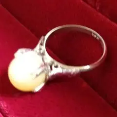 Item thumbnail for item 817e4501-57be-4874-a0ef-65031afc8522