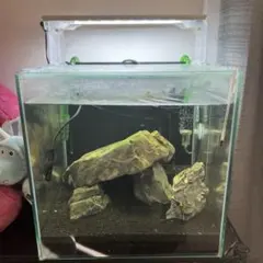 Red Sea オーバーフロー水槽 LED付き 約60cm - メルカリ