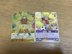 イナズマイレブン トレーディングカード 亜風炉照美　アフロディ 2枚セット
