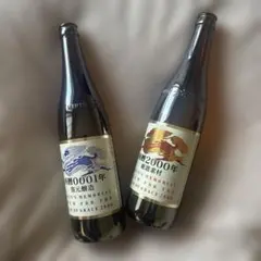 Item thumbnail for item 1f99fe3c-bff5-4069-9bc6-fe25ce3caecb