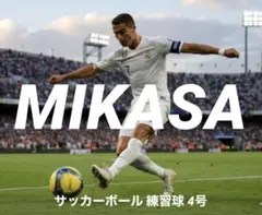 Item thumbnail for item d3bddd1e-1245-4b05-a806-3445b0ca2134