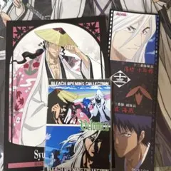 BLEACH 京楽春水　浮竹十四郎