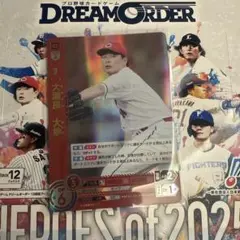プロ野球 ドリームオーダー 広島 大瀬良 大地 OSR