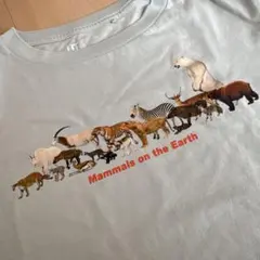 UNIQLO かはく　国立科学博物館　140 Tシャツ　コラボ　哺乳類　プリント