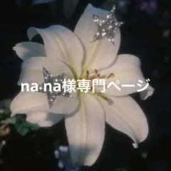 na na様専門ページ クロミ ネイルパーツ