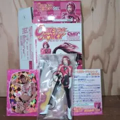 キューティーハニー 佐藤江梨子 サイン入りカード - メルカリ