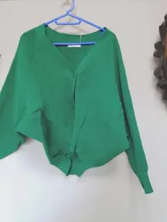 Item thumbnail for item 0f1ada9c-7e81-491e-9307-bddfe9ed199c