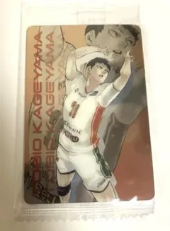 ハイキュー!! 影山飛雄 キラピカード ハイキュー!!キラピカード【影山飛雄】 - メルカリ