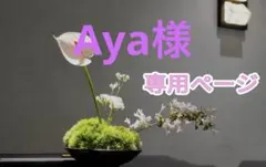Aya様専用ページ