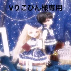 Vりこぴん様専用