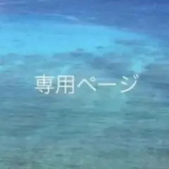 ぷに田ぷに蔵 様専用★ヨクス iocus ★刺繍入りノースリーブブラウス