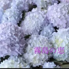 麻衣様 リクエスト 2点 まとめ商品