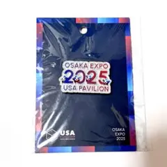 アメリカ館 ピンバッジ キャラクターグッズ