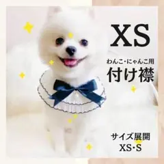 【ペット向け】フリルリボン　付け襟　SS　XS　わんこ　にゃんこ　誕生日　撮影