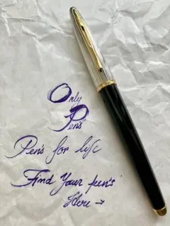 3012-57久81819　ウォーターマン 万年筆 ペン先18K 750刻印在 シルバー色 筆記用具 文房具 WATERMAN WATERMAN ウォーターマン 万年筆 エキスパート エッセンシャル 18金