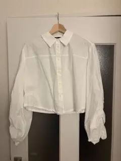 ZARA バルーンデザインブラウス