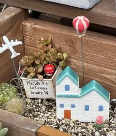 hgcpdmiracle様 リクエスト 2点 まとめ商品