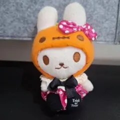 2025年最新】うさずきん ぬいぐるみの人気アイテム - メルカリ