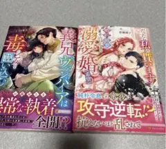 ち*ウ様 TL小説　2冊セット