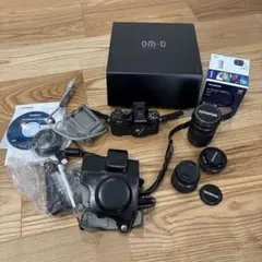 2025年最新】OM-D E-M10 Mark III ダブルズームキットの人気アイテム