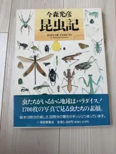 Item thumbnail for item 439beb5b-3815-4cc5-b86f-3a57f7868bfa