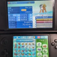 ポケモン サン 配布 自己乱数産多数