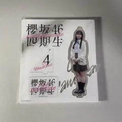 山川宇衣 アクリルスタンド（匿名配送）
