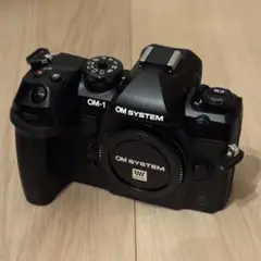 2025年最新】om-1 mark iiの人気アイテム - メルカリ