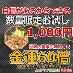 数量限定お試し版】金運風水進化形オルゴナイト八角形ストラップ金運60