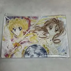 種村有菜　30周年記念展　B賞　神風怪盗ジャンヌ　アクリルアートパネル