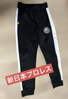 Item thumbnail for item c6402e12-6fd8-4139-b94c-4861efe8e70a