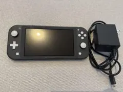 Nintendo Switch Lite グレー 充電器付き【動作確認済、美品】