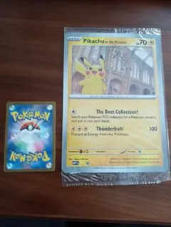 新品 Pikachu at the Museum カードと生態研究冊子セット - メルカリ