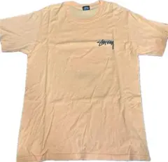 Stussy Tシャツ