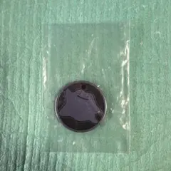 ポケモンカードゲーム メタモンコイン