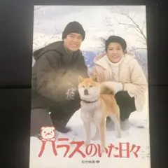 Item thumbnail for item bee2caae-b1fb-4e66-bd89-2302a8c32b96