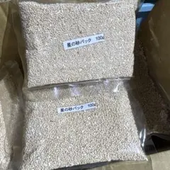 沖縄県産 星砂 星の砂　100g×2袋