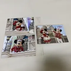 【匿名配送】ディズニークリスマス 2022 ミッキー　ミニー　ディズニーランド