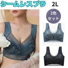 胸を小さく見せるブラ　2枚　シームレス ノンワイヤー 2L ブルー ブラック