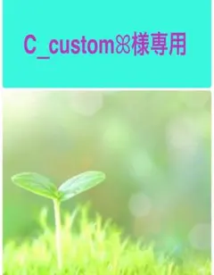 C_customꕤ︎︎様専用のサムネイル